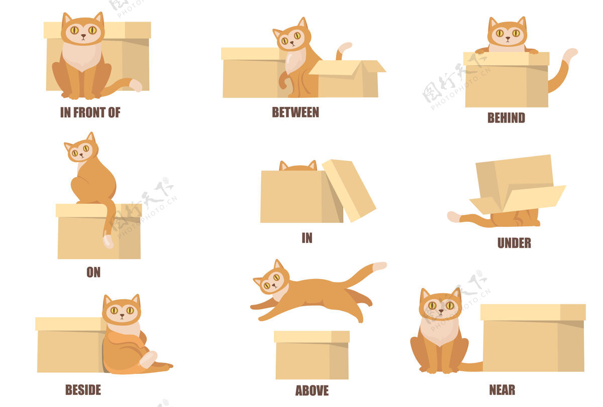 不同学习介词的帮助下 猫和盒子平面集旁边小组包