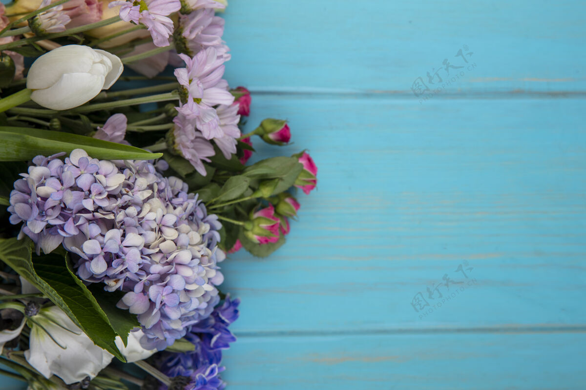视图顶视图精彩的彩色花朵像栀子花玫瑰郁金香叶子上的蓝色背景与复制空间空间郁金香奇迹