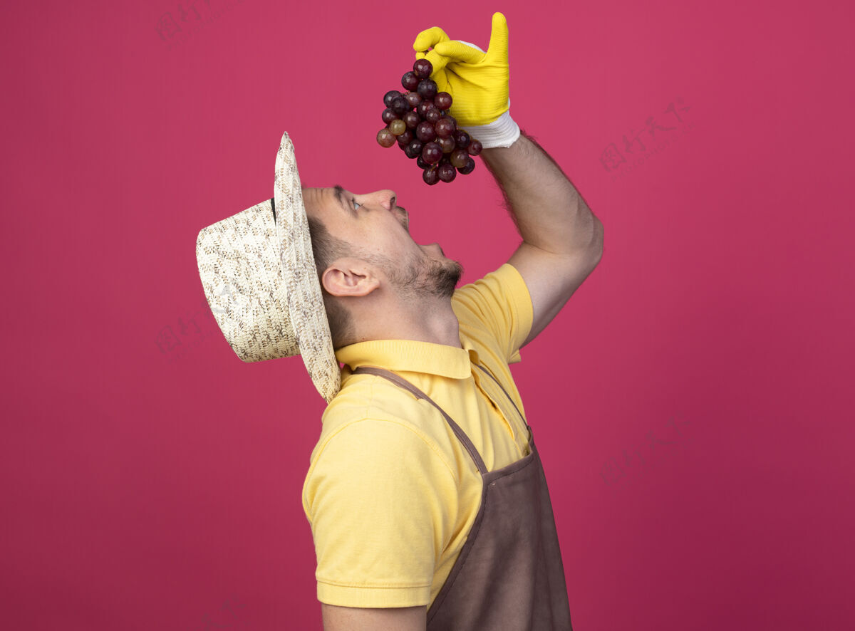 工人年轻的园丁穿着连体衣 戴着帽子 戴着工作手套 嘴里叼着一束高高的葡萄 站在粉红色的墙上品尝葡萄拿着男