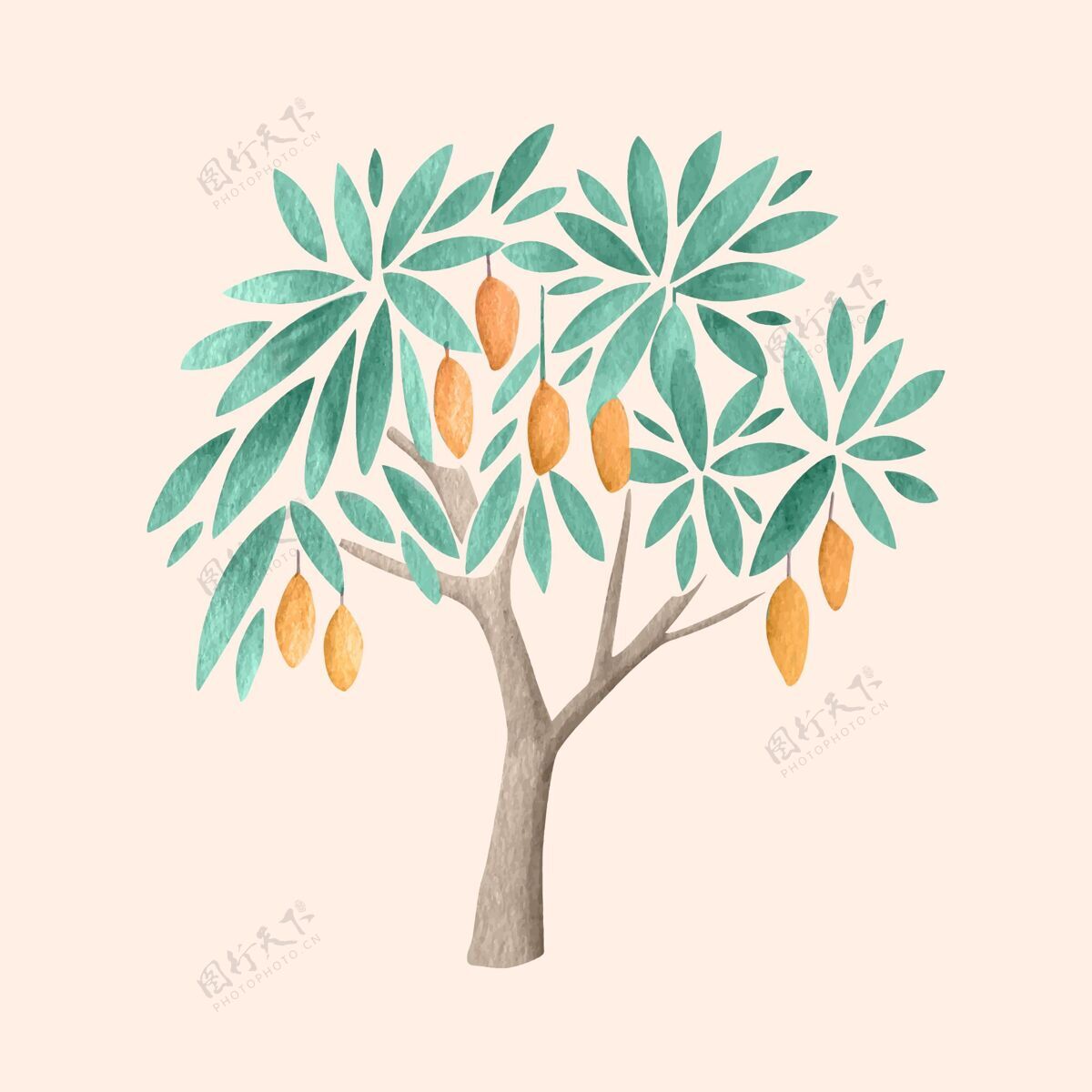 树芒果树水彩插画树干自然水果