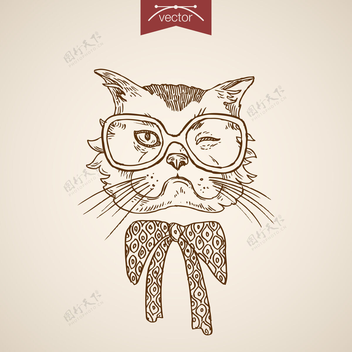 围巾猫眨眼头时髦风格仿人服装配饰戴眼镜设计围巾收集颈部古董