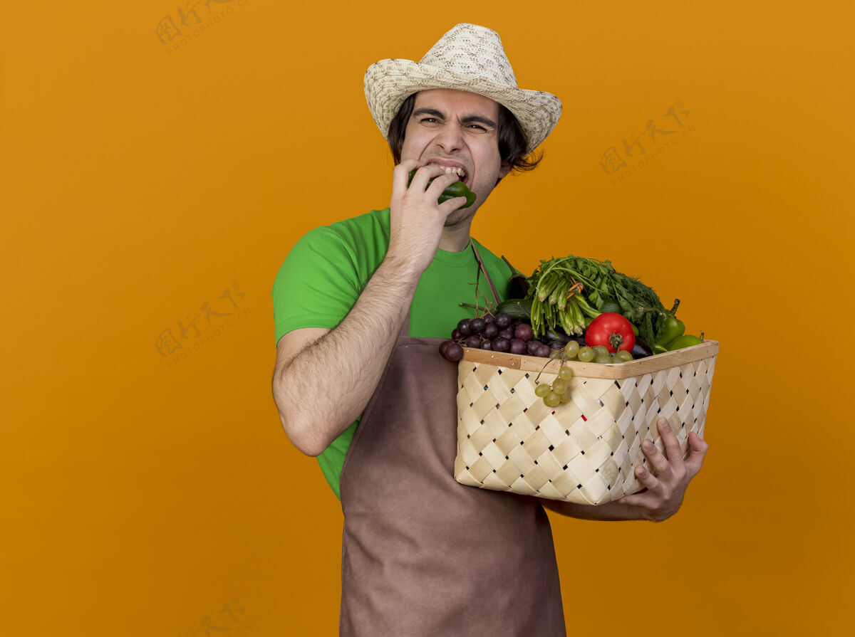 帽子年轻的园丁围着围裙 戴着帽子 手里拿着装满蔬菜的箱子 站在橙色的背景上咬着黄瓜板条箱幼嫩咬