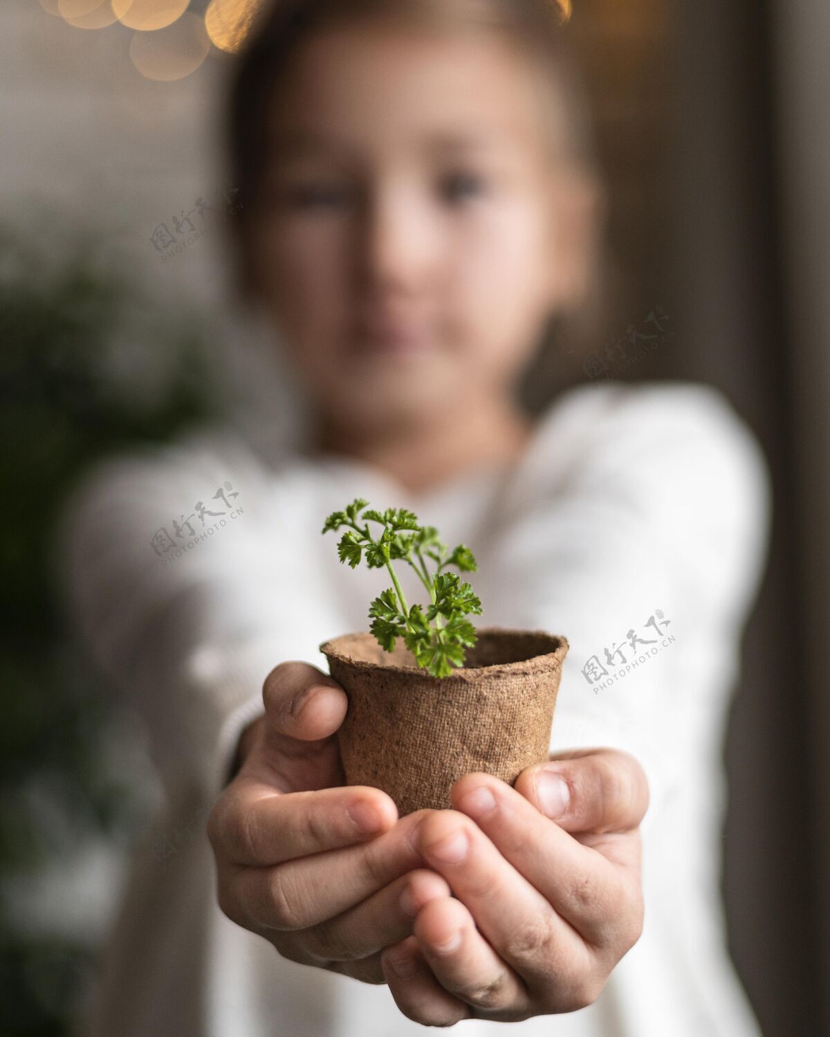 栽培散焦的小女孩在家拿着花盆里的植物园艺农业有机