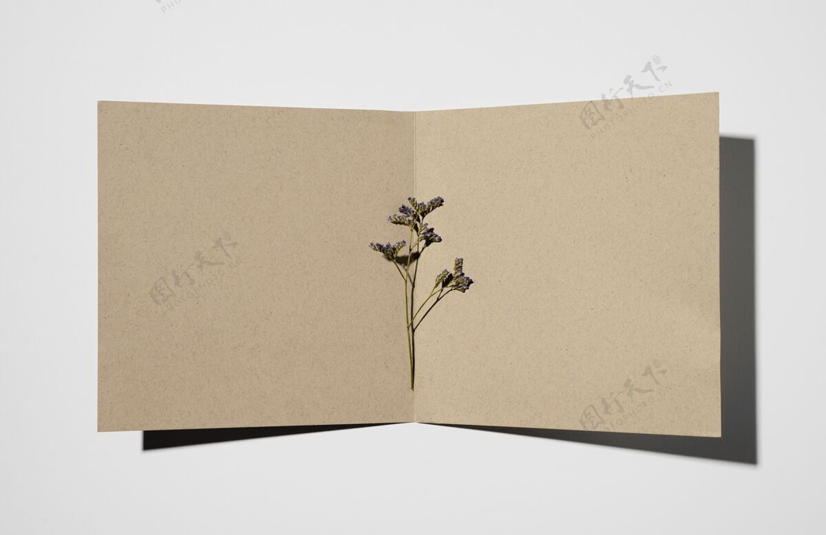 平原带植物的文具纸顶视图纸简单文具