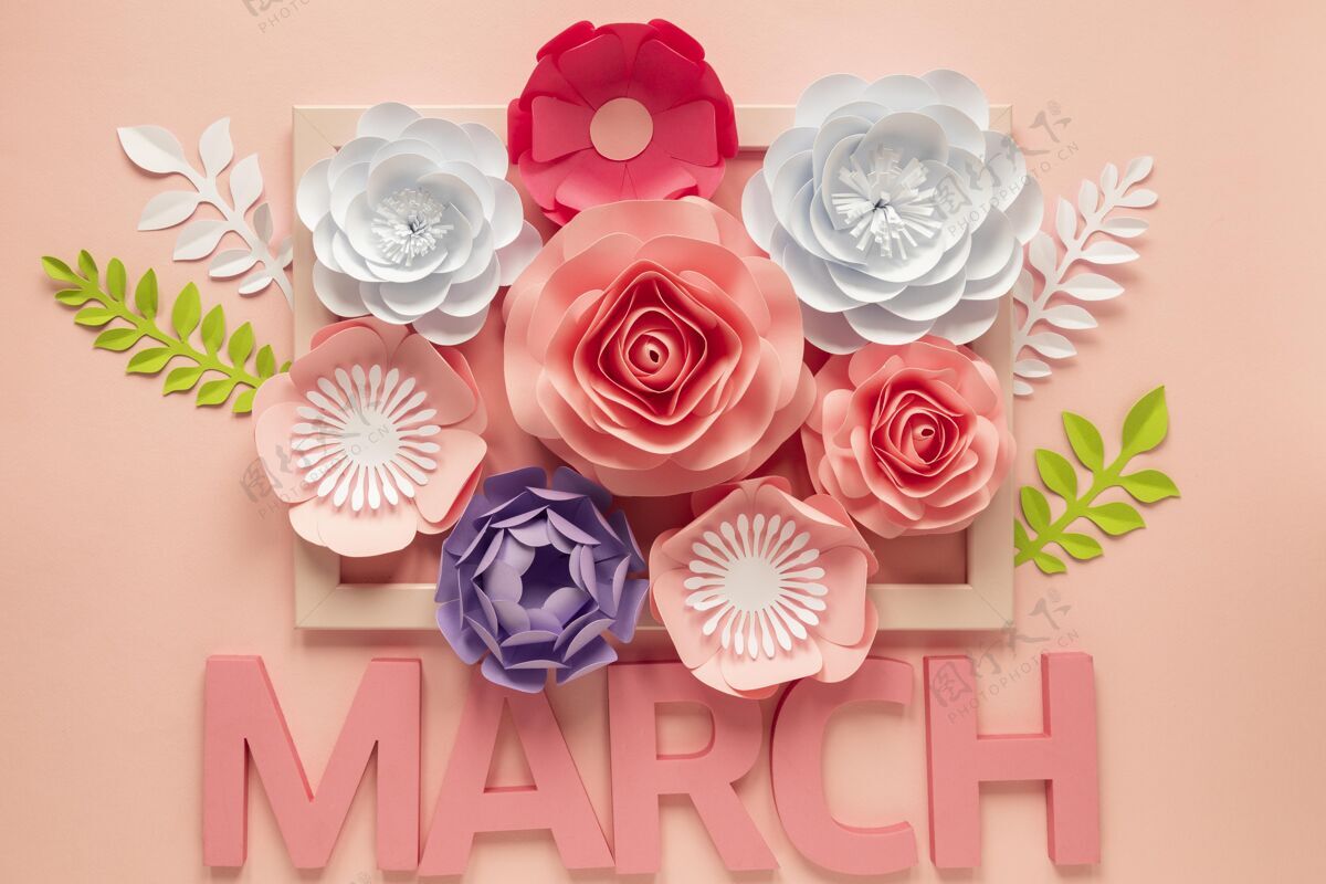 俯视许多纸花的俯视图与妇女节的月份庆祝女权主义平等