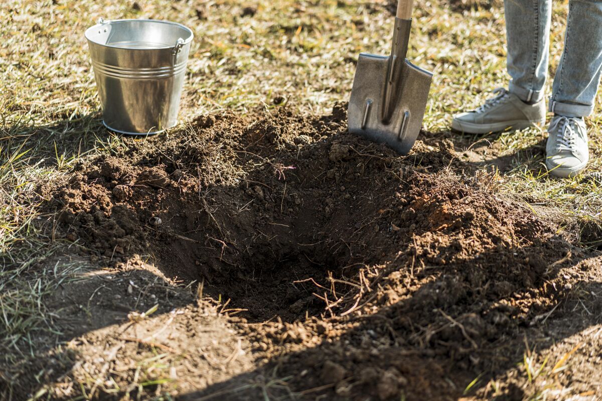 蔬菜男人用铲子挖洞种树园艺树木栽培人