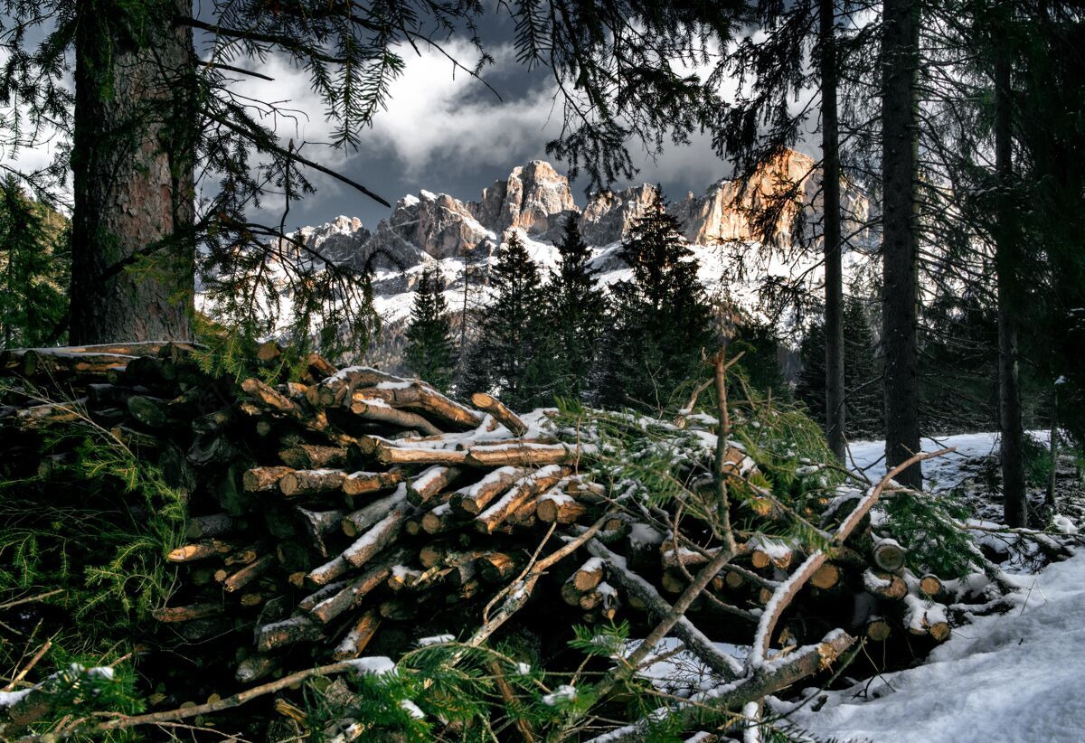 意大利成堆的树木在一片覆盖着白雪的森林中被悬崖包围在白云石中寒冷活跃高山