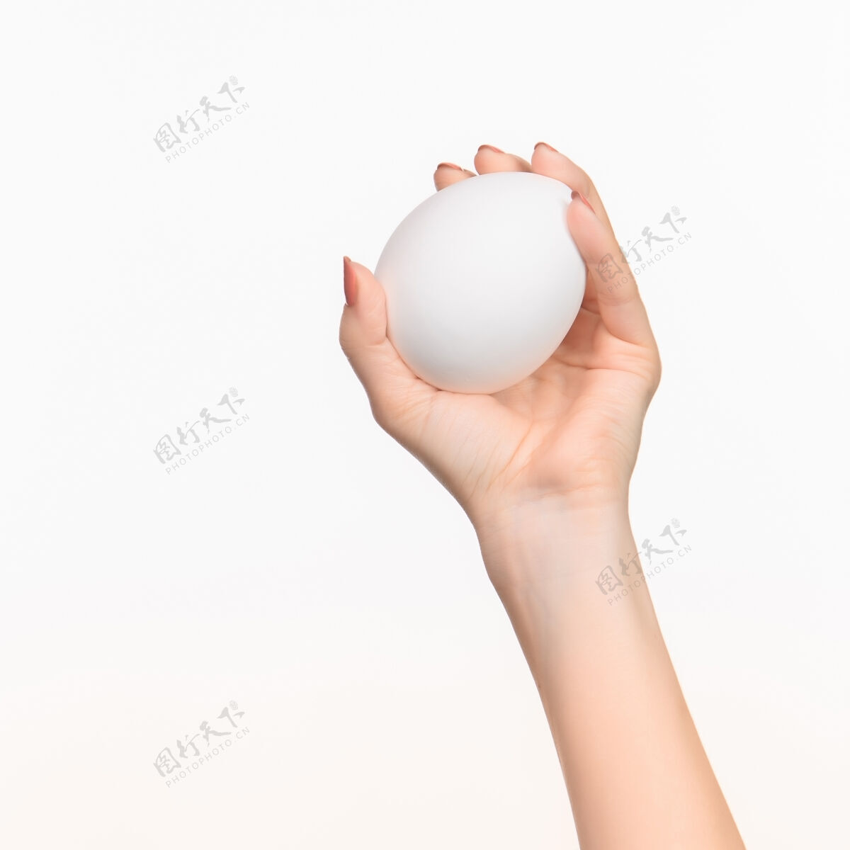 女性女的手拿着白色的空白发泡胶椭圆形对白色的右阴影阴影单身光