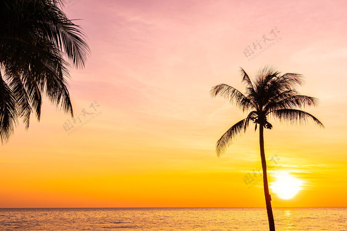 度假日落或日出时椰子树的剪影 海洋的美丽景色天空日落岛屿