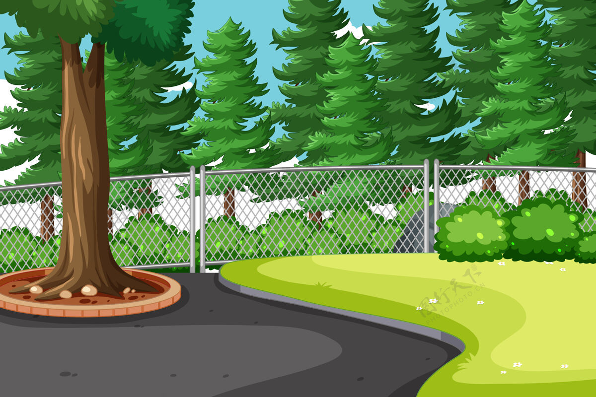 公园有许多大松树的自然公园景色森林外面剪贴画