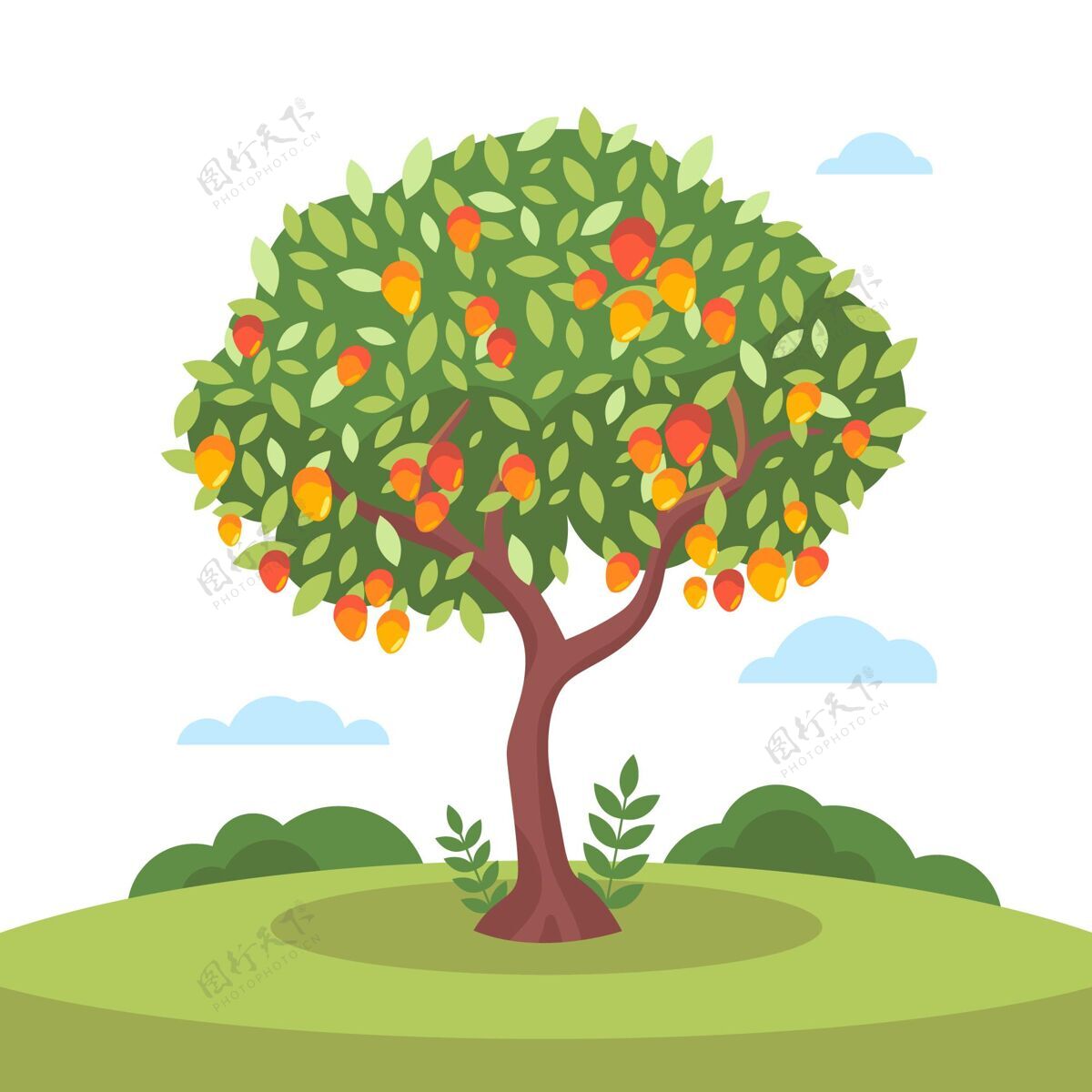 饮食平面设计芒果树与水果和树叶树水果植物