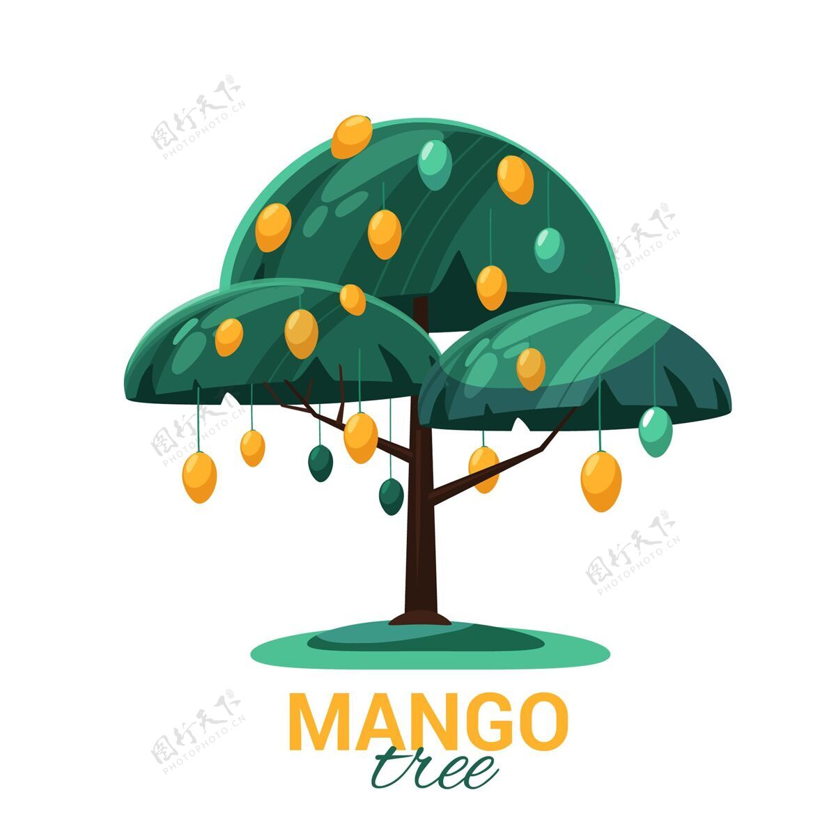 吃芒果树与水果和树叶插图芒果食品植物
