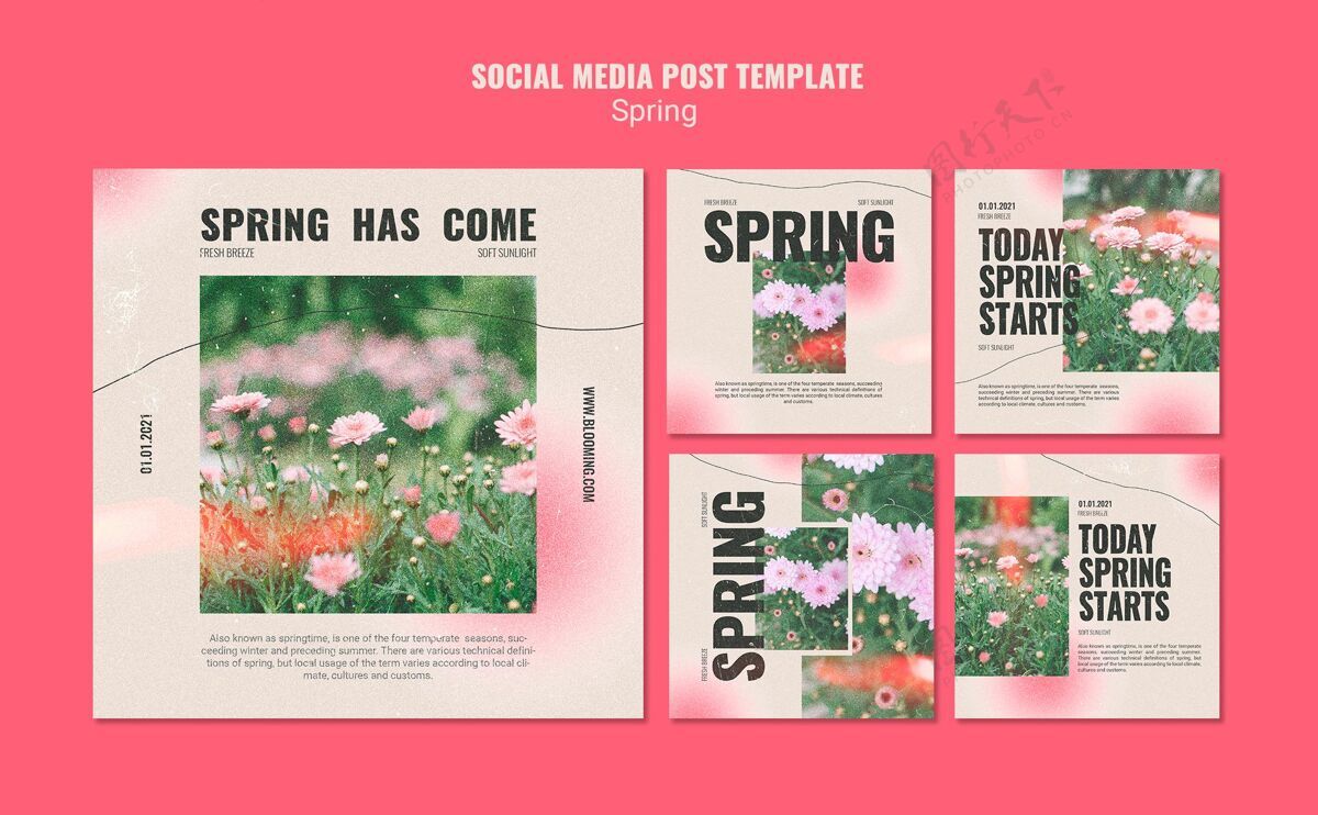 设置Instagram发布春季鲜花系列植物学开花植物