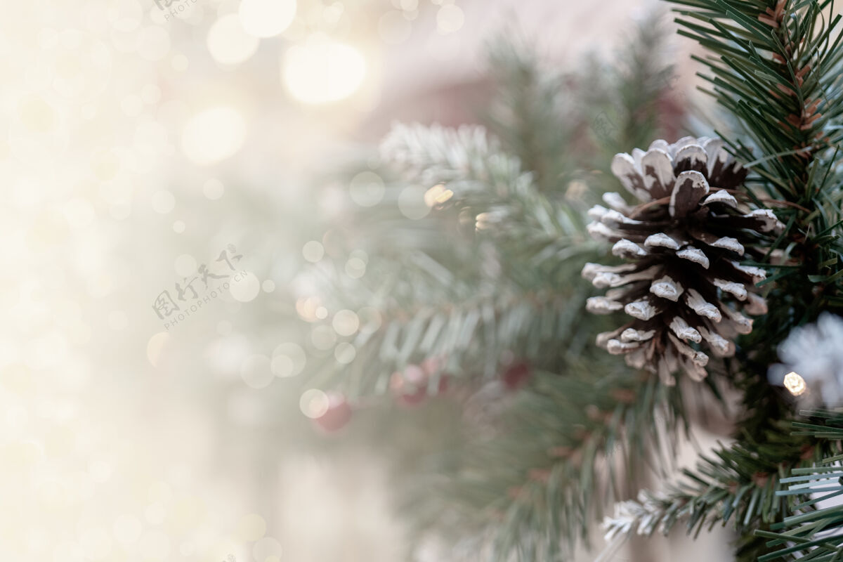 模糊圣诞波基效果与松枝 球果 碑文空间背景光泽圆锥体松树