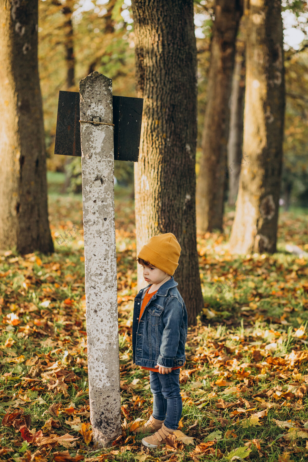 玩耍可爱的男孩在秋天公园玩树叶可爱卷发瞬间