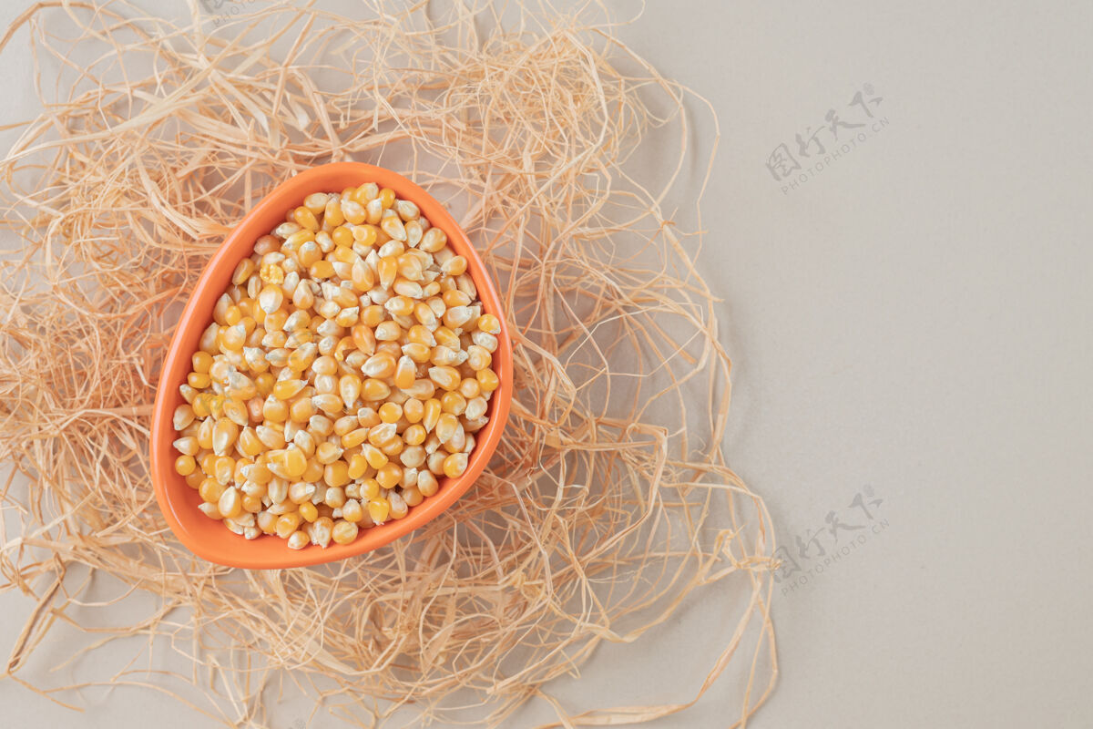 食物把玉米种子放在一个陶瓷盘子里放在乡下清淡生物景观
