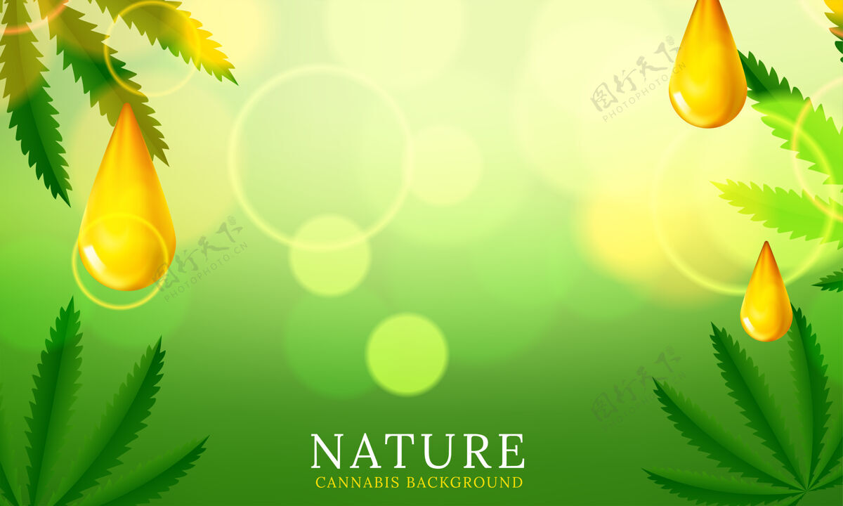 有机大麻植物绿色背景矢量插图自然医学草药