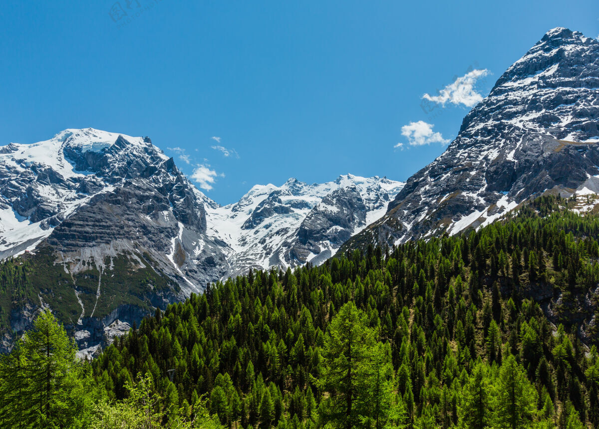 高山从斯泰尔维奥山口阿尔卑斯山路欣赏夏日景色 阿尔卑斯山山顶上有冷杉林和积雪 意大利意大利山脊山峰