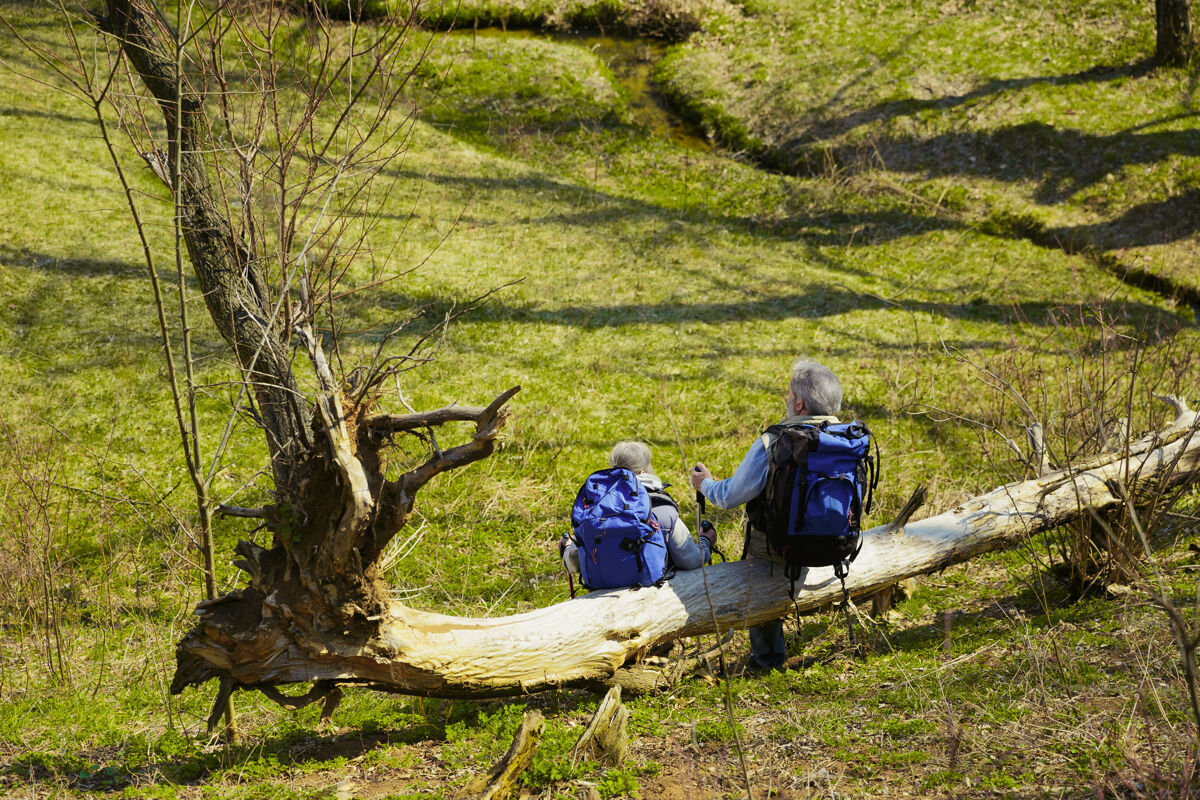 冒险休息一对穿着旅游服装的老年夫妇 在阳光明媚的日子里 在树木和小溪边的绿色草坪上散步旅游理念 健康的生活方式 放松和团聚旅行田园诗退休